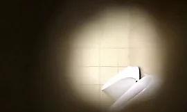 spy in toilet porn mp4 video