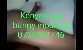 Kenyan Gay bunny annal fuck he is also gay sex worker for affordable price  please whatsapp him on  254768961746