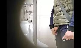 Secretive cam in a catch mall toilet